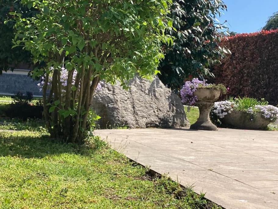 Un Bell Incontro Apartment Borgo Ticino