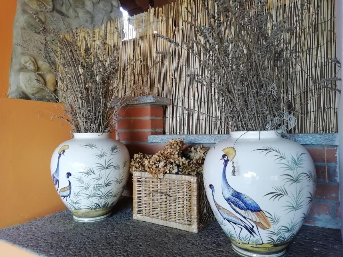 Un Bell Incontro Apartment Borgo Ticino
